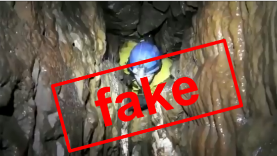 Fake video