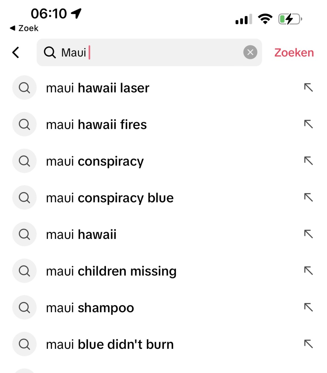 Zoeksuggesties op TikTok Maui branden