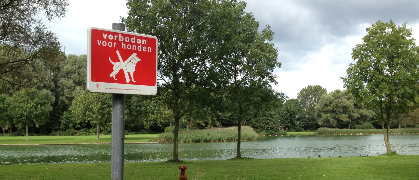 honden verboden park