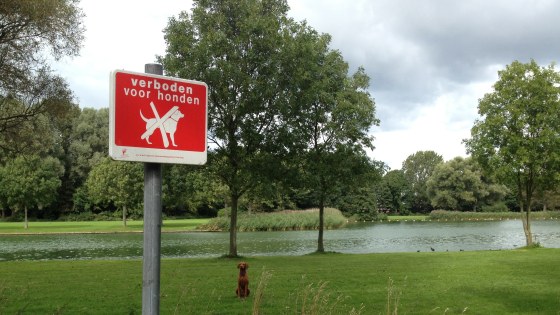 honden verboden park