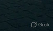 Grok