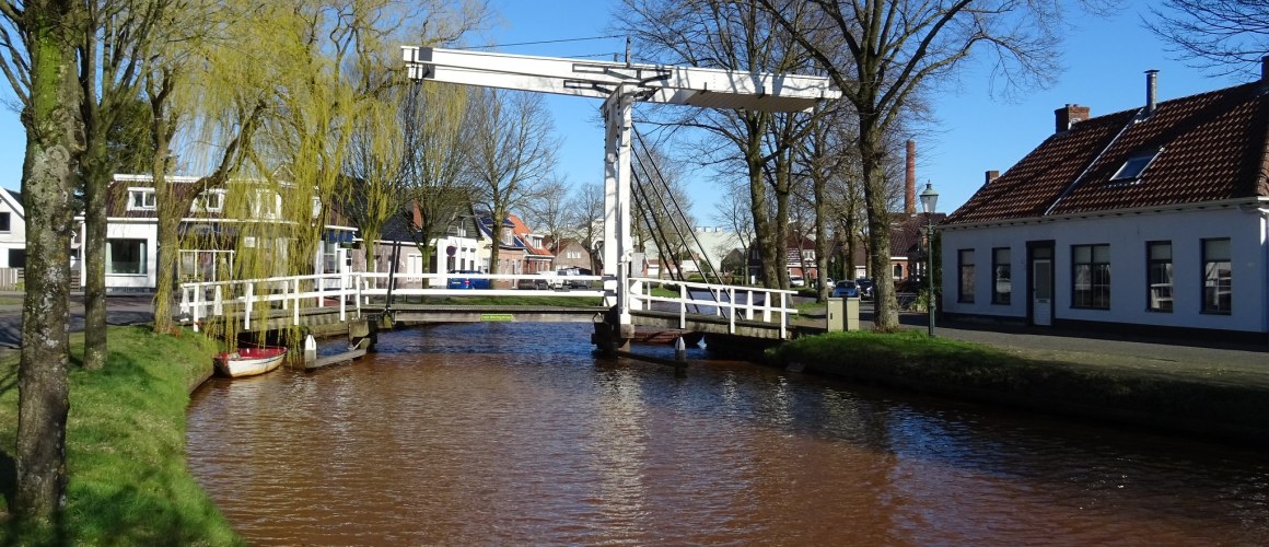 49687490268_61d3cee485_k