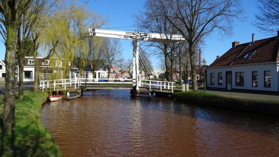 49687490268_61d3cee485_k