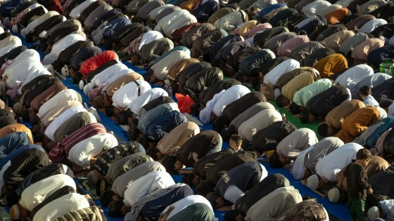 pexels-conrad-rotor-2154038490-33571996 (1)