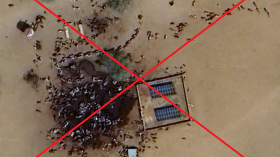 Screenshot 2025-11-05 093504