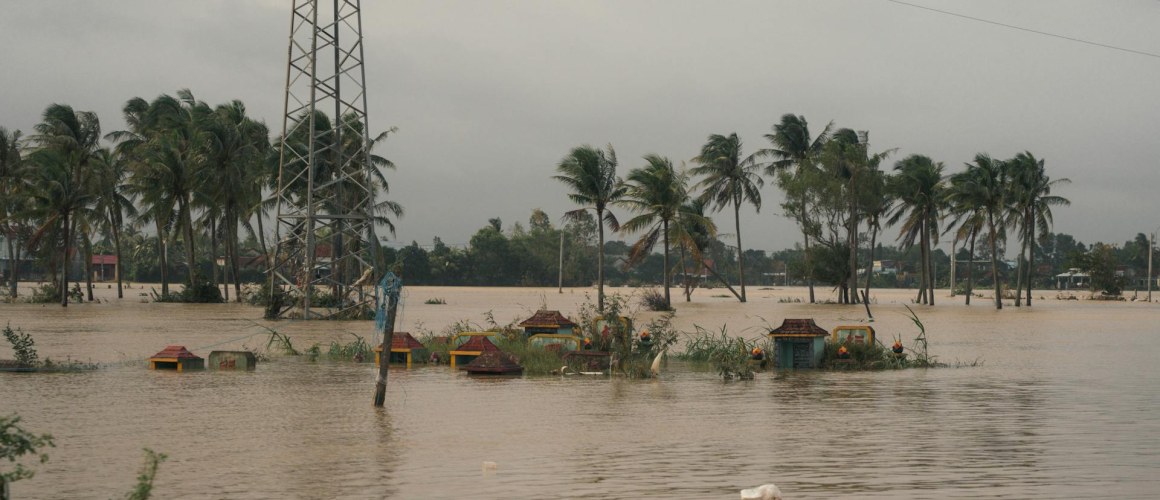 pexels-long-ba-mui-1130557677-34959182