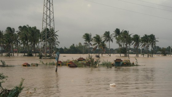 pexels-long-ba-mui-1130557677-34959182