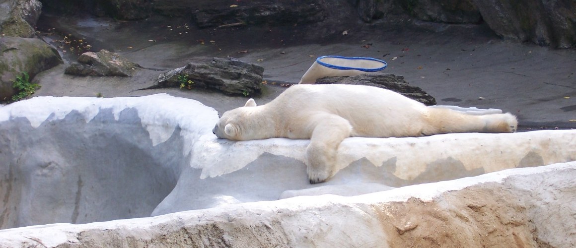 279485768_afd521e786_k