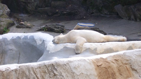 279485768_afd521e786_k