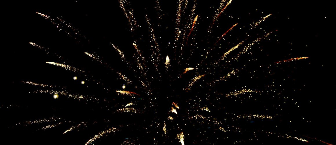 pexels-akilmazumder-973590 (1)