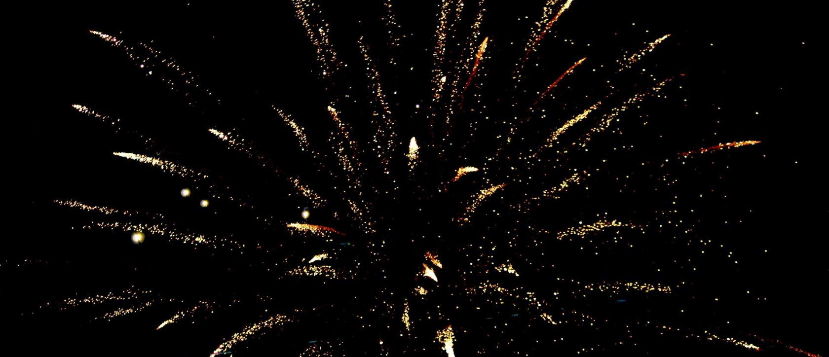 pexels-akilmazumder-973590 (1)