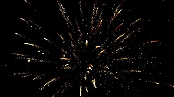 pexels-akilmazumder-973590 (1)